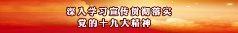 深入学习宣传贯彻落实党的十九大精神